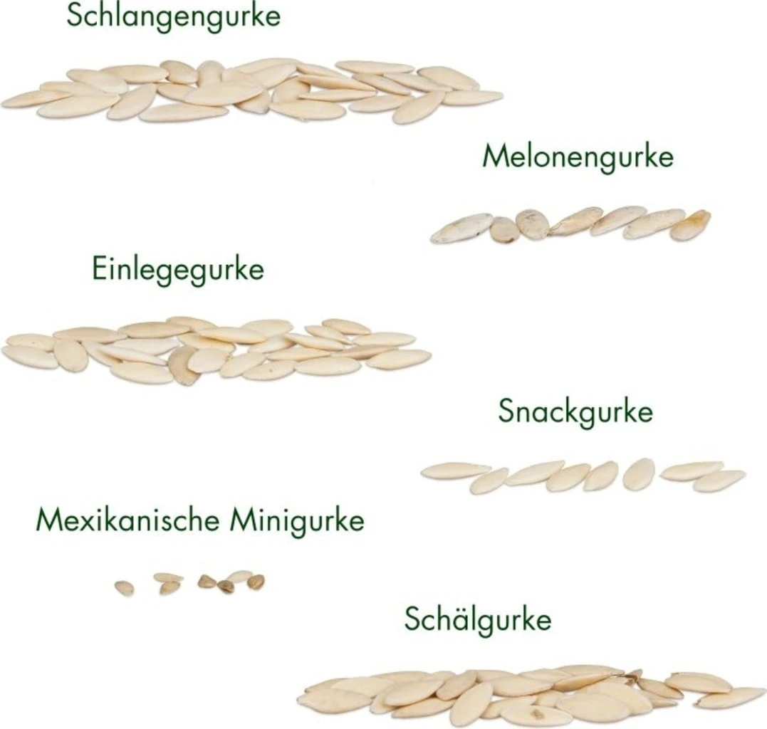 Gurken-Samen 6er Set 8 Gurken-Samen 6er Set – Bild 6