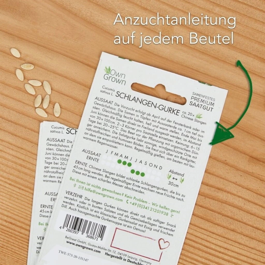 Gurken-Samen 6er Set 7 Gurken-Samen 6er Set – Bild 5