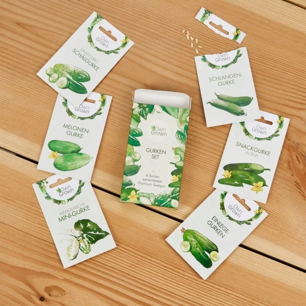 Gurken-Samen 6er Set 9 Gurken-Samen 6er Set – Bild 7