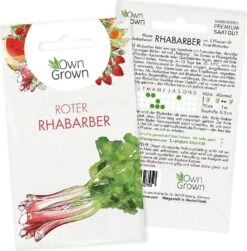 Saatgut "Rhabarber" -Garten Flaire Verkaufsgeschäft own grown saatgut rhabarber 1525845 de