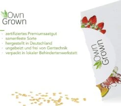 Saatgut "Weiße Erdbeere" 10 Saatgut "Weiße Erdbeere" -Garten Flaire Verkaufsgeschäft own grown saatgut weisse erdbeere 1525957 de