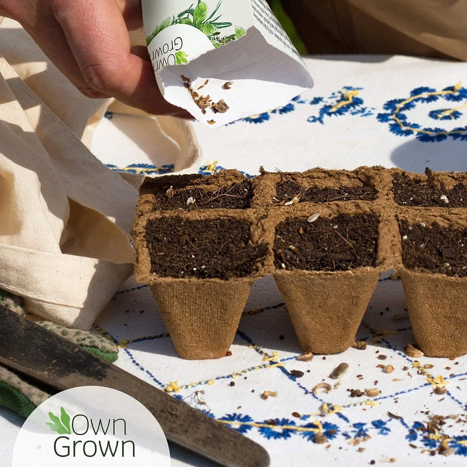 Saatgut "Weiße Erdbeere" 5 Saatgut "Weiße Erdbeere" - Image 3