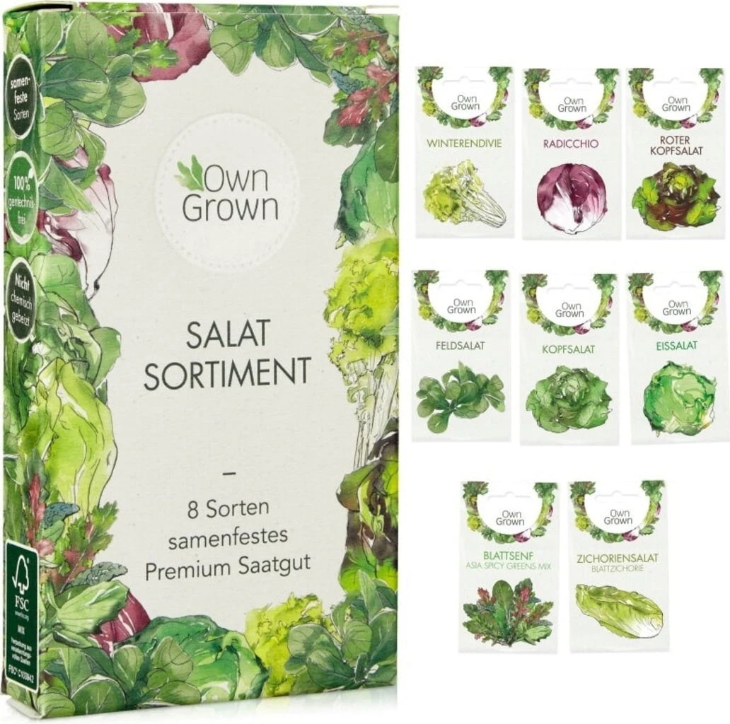 Salat-Samen-Set 4 Salat-Samen-Set - Image 2