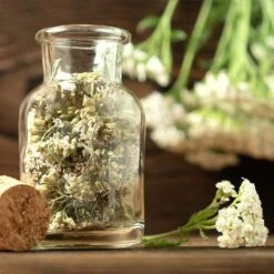 Teekräuter-Samen 8er Set -Garten Flaire Verkaufsgeschäft own grown teekraeuter samen 8er set 1325165 de