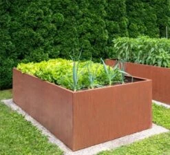 Hochbeet Edelrost "Optimus", 200 X 100 Cm -Garten Flaire Verkaufsgeschäft prima terra hochbeet edelrost optimus 1668054 de