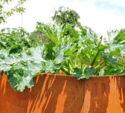 Hochbeet Edelrost "Optimus", 200 X 100 Cm -Garten Flaire Verkaufsgeschäft prima terra hochbeet edelrost optimus 1668056 de