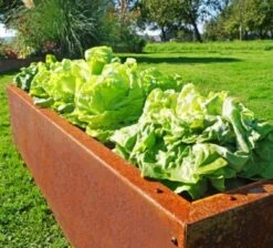 Hochbeet Edelrost "Planus", 158 X 38 Cm -Garten Flaire Verkaufsgeschäft prima terra hochbeet edelrost planus 158 x 38 cm 1668076 de