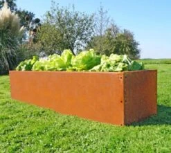 Hochbeet Edelrost "Planus", 158 X 38 Cm -Garten Flaire Verkaufsgeschäft prima terra hochbeet edelrost planus 158 x 38 cm 1668079 de