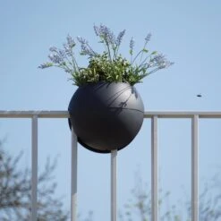 Geländertopf "Bloomball", Graphit (anthrazit) 8 Geländertopf "Bloomball", Graphit (anthrazit) -Garten Flaire Verkaufsgeschäft rephorm gelaendertopf bloomball graphit anthrazit 984693 de