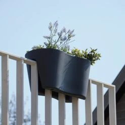 Geländertopf "Steckling Duo", Graphit (anthrazit) -Garten Flaire Verkaufsgeschäft rephorm gelaendertopf steckling duo graphit anthrazit 985818 de