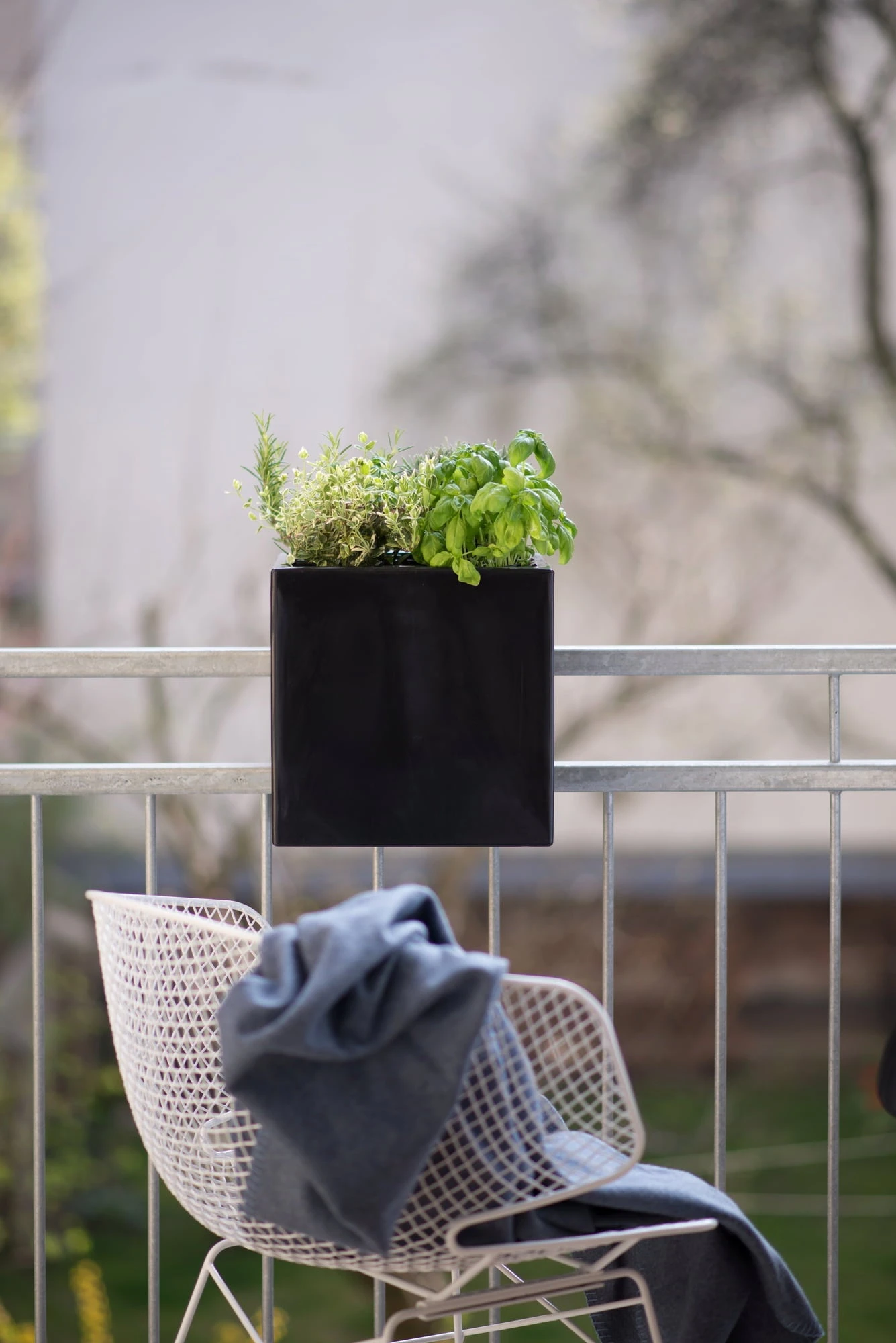 Pflanzbehälter "Steckling Cube", Graphit (anthrazit) 4 Pflanzbehälter "Steckling Cube", Graphit (anthrazit) - Image 2