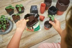 12 Kunststofftöpfe9 Cm Quadr., Schwarz -Garten Flaire Verkaufsgeschäft romberg 12 kunststofftoepfe 9 cm quadr schwarz 1 st 906024 de