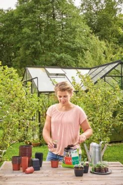 12 Kunststofftöpfe9 Cm Quadr., Schwarz -Garten Flaire Verkaufsgeschäft romberg 12 kunststofftoepfe 9 cm quadr schwarz 1 st 906150 de