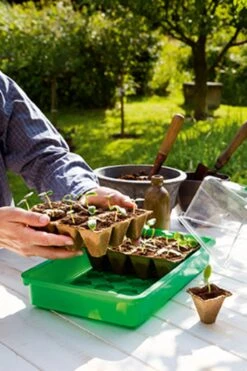 36 Anzuchttöpfe 5 Cm - 6 Strips à 6 Töpfe -Garten Flaire Verkaufsgeschäft romberg 36 anzuchttoepfe 5 cm 6 strips a 6 toepfe 1 paket 1668656 de