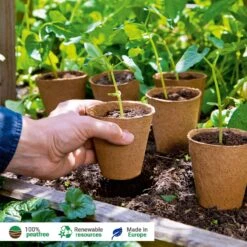 48 Anzuchttöpfe 8 Cm Rund, 48 Stück 7 48 Anzuchttöpfe 8 Cm Rund, 48 Stück -Garten Flaire Verkaufsgeschäft romberg 48 anzuchttoepfe 8 cm rund 1501608 de