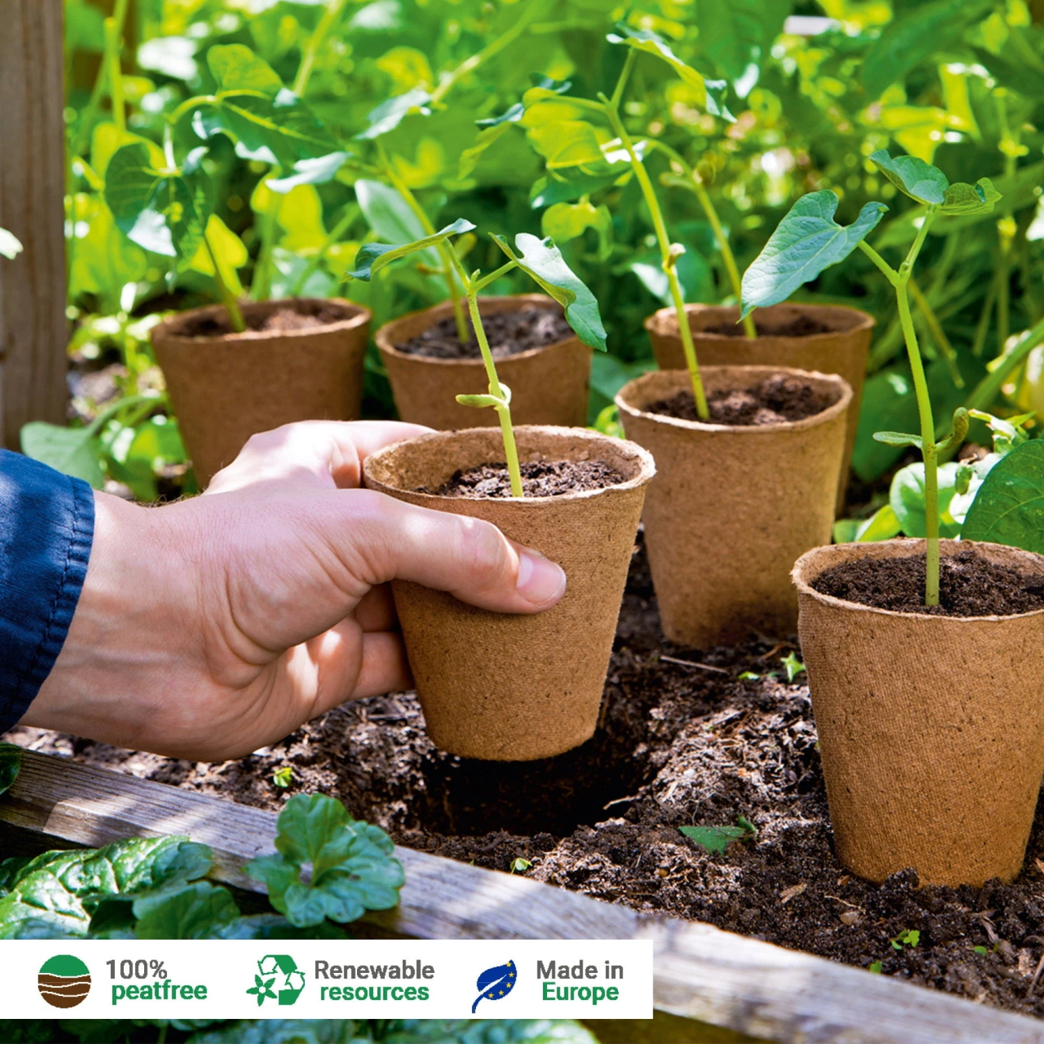 48 Anzuchttöpfe 8 Cm Rund, 48 Stück 5 48 Anzuchttöpfe 8 Cm Rund, 48 Stück – Bild 3