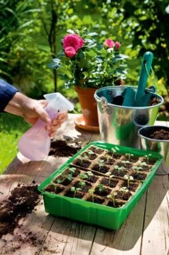 Anzuchthaus M PLUS POTS Inkl. 24 Anzuchttöpfe Im Strip 9 Anzuchthaus M PLUS POTS Inkl. 24 Anzuchttöpfe Im Strip -Garten Flaire Verkaufsgeschäft romberg anzuchthaus m plus pots inkl 24 anzuchttoepfe im strip 1 st 1668666 de