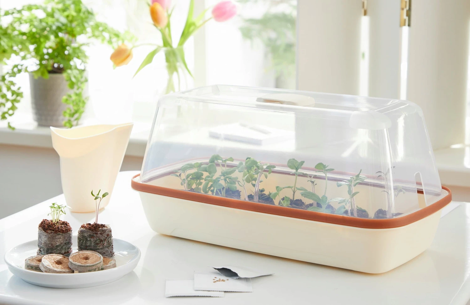 Anzuchtschale M BOQUBE Creme-Kupferbraun 3 Anzuchtschale M BOQUBE Creme-Kupferbraun