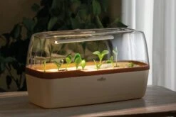 Gewächshaus & Pflanzkasten BoQube L PLUS LED - Creme-Kupferbraun -Garten Flaire Verkaufsgeschäft romberg boqube l plus led creme kupferbraun 1 stk 819778 de