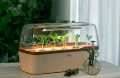 Gewächshaus & Pflanzkasten BoQube L PLUS LED - Creme-Kupferbraun -Garten Flaire Verkaufsgeschäft romberg boqube l plus led creme kupferbraun 1 stk 819798 de