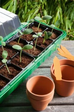 Classic Anzuchthaus L PLUS Mit Kunststofftöpfe 6 Classic Anzuchthaus L PLUS Mit Kunststofftöpfe -Garten Flaire Verkaufsgeschäft romberg classic anzuchthaus l plus mit kunststofftoepfe 1 st 908551 de