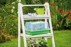 Classic Gewächshaus M -Garten Flaire Verkaufsgeschäft romberg classic gewaechshaus m 1 st 908870 de