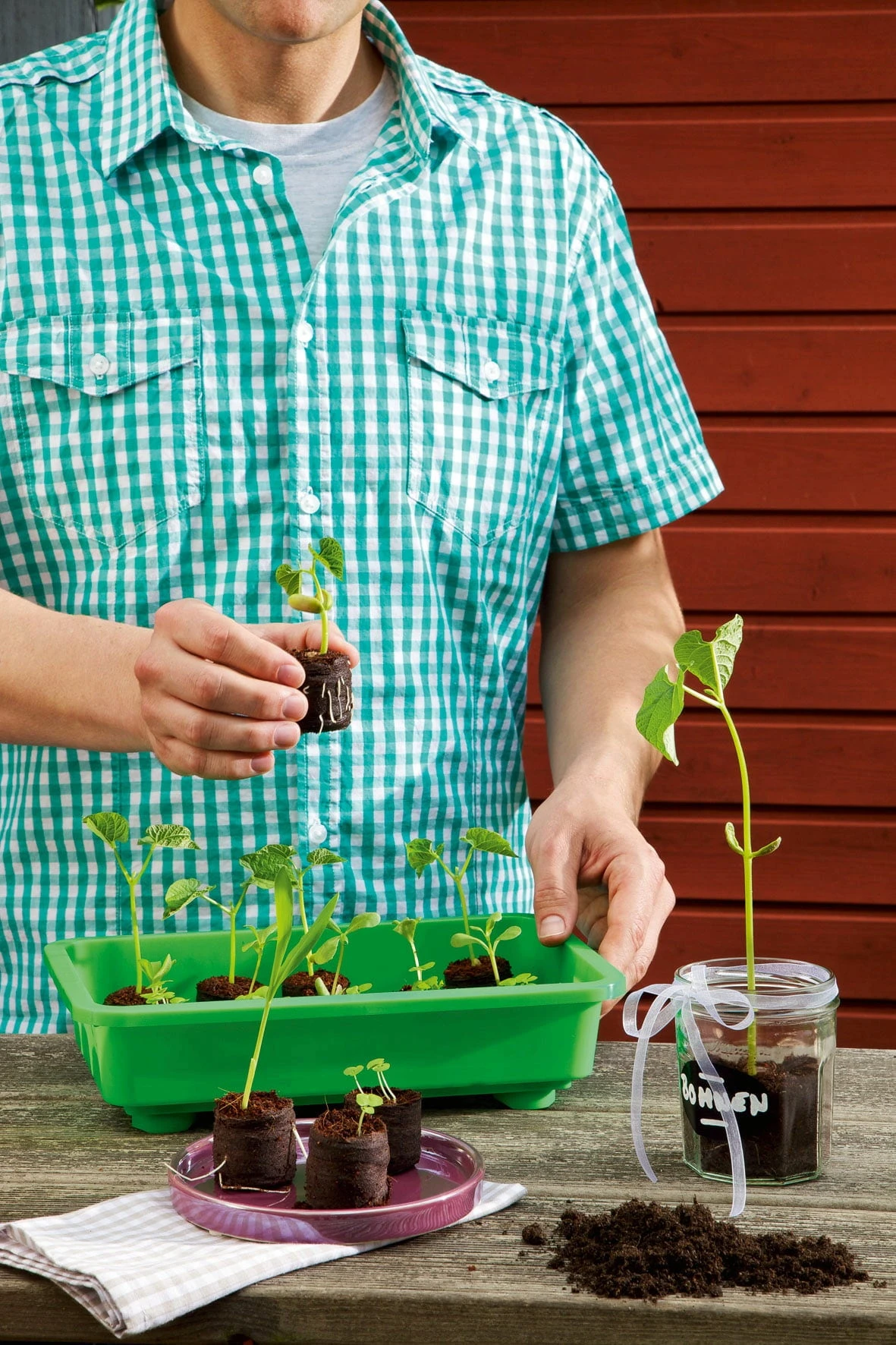 6 Kokos-Quelltabletten, Ø 70 Mm, 6 Stück 3 6 Kokos-Quelltabletten, Ø 70 Mm, 6 Stück