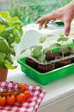 6 Kokos-Quelltabletten, Ø 70 Mm, 6 Stück 16 6 Kokos-Quelltabletten, Ø 70 Mm, 6 Stück -Garten Flaire Verkaufsgeschäft romberg classic kokos quelltabletten oe 70 mm 6 st 909383 de