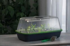 Gewächshaus & Pflanzkasten BoQube M PLUS LED & Heizmatte - Anthrazit-Sommergrün -Garten Flaire Verkaufsgeschäft romberg gewaechshaus pflanzkasten boqube m plus led heizmatte anthrazit sommergruen 1 st 1676056 de