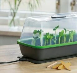 Gewächshaus & Pflanzkasten BoQube M PLUS LED & Heizmatte - Anthrazit-Sommergrün -Garten Flaire Verkaufsgeschäft romberg gewaechshaus pflanzkasten boqube m plus led heizmatte anthrazit sommergruen 1 stk 1046351 de