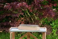 Holz-Anzuchthaus, L -Garten Flaire Verkaufsgeschäft romberg holz anzuchthaus 1559590 de