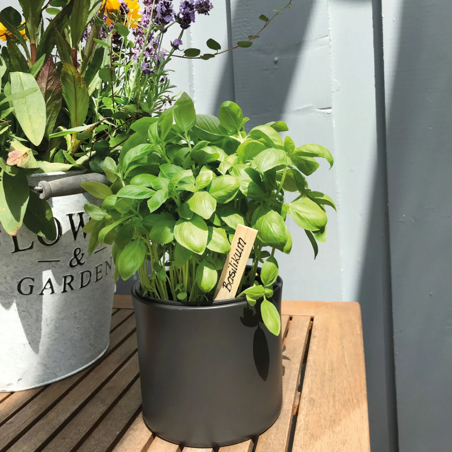 Holz-Stecketiketten 3 Holz-Stecketiketten