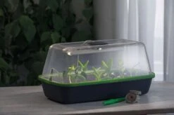 LED Pflanzenbeleuchtung -Garten Flaire Verkaufsgeschäft romberg led pflanzenbeleuchtung 1 st 1658033 de