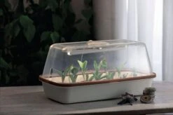 LED Pflanzenbeleuchtung -Garten Flaire Verkaufsgeschäft romberg led pflanzenbeleuchtung 1 st 1658036 de