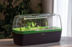 LED Pflanzenbeleuchtung -Garten Flaire Verkaufsgeschäft romberg led pflanzenbeleuchtung 1 st 1671620 de