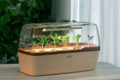 LED Pflanzenbeleuchtung -Garten Flaire Verkaufsgeschäft romberg led pflanzenbeleuchtung 1 st 1671621 de