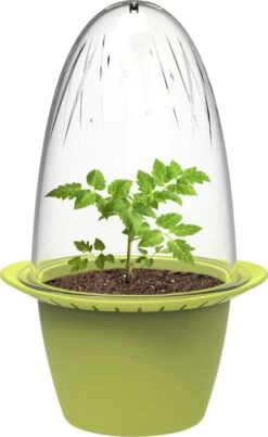 Mini – Anzuchttöpfe