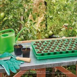 Multitopf-Platte 51 Töpfe - 50x30 Cm -Garten Flaire Verkaufsgeschäft romberg multitopf platte 51 toepfe 50x30 cm 1501845 de