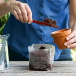 POP UP BOX Anzucht-Erde - 5 X 1 Liter -Garten Flaire Verkaufsgeschäft romberg pop up box anzucht erde 5 x 1 liter 1664254 de