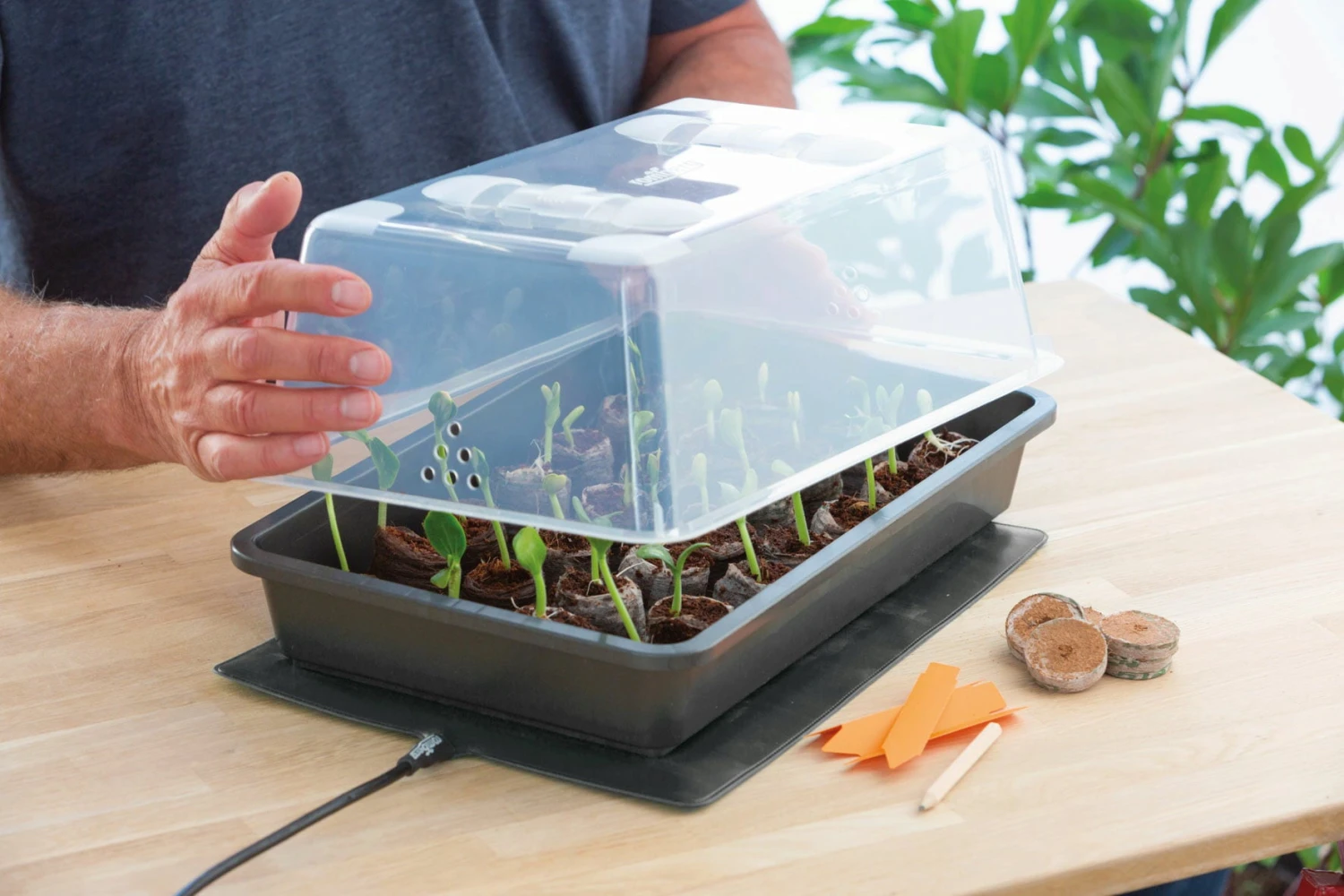 Power Gewächshaus "Thermo M" 3 Power Gewächshaus "Thermo M" - Image 2