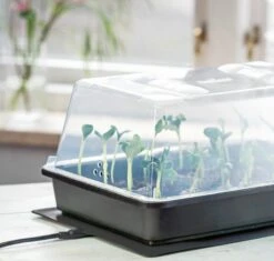 Power Gewächshaus "Thermo M" 7 Power Gewächshaus "Thermo M" -Garten Flaire Verkaufsgeschäft romberg power gewaechshaus thermo m 1 st 907769 de