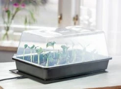 Power Gewächshaus "Thermo M" 8 Power Gewächshaus "Thermo M" -Garten Flaire Verkaufsgeschäft romberg power gewaechshaus thermo m 1 st 907776 de