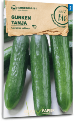Bio Gurken "Tanja" - Freiland-Salatgurke
