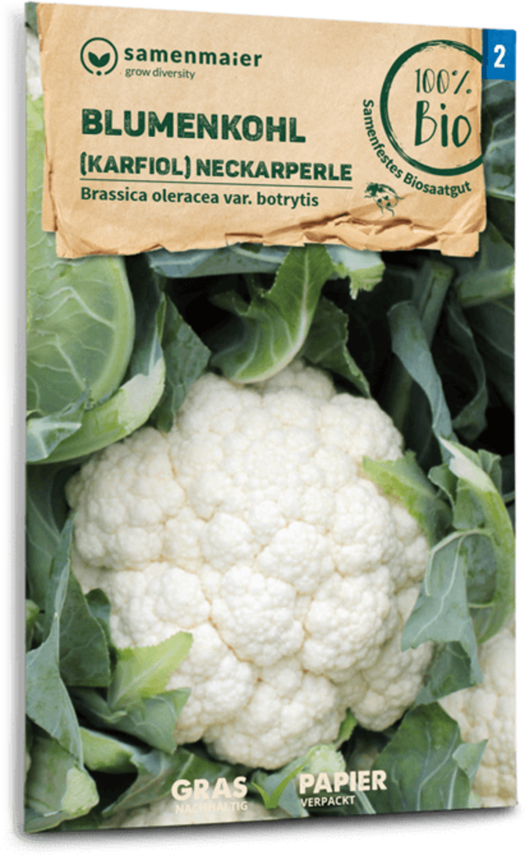 Bio Karfiol "Neckarperle" 4 Bio Karfiol "Neckarperle" – Bild 2