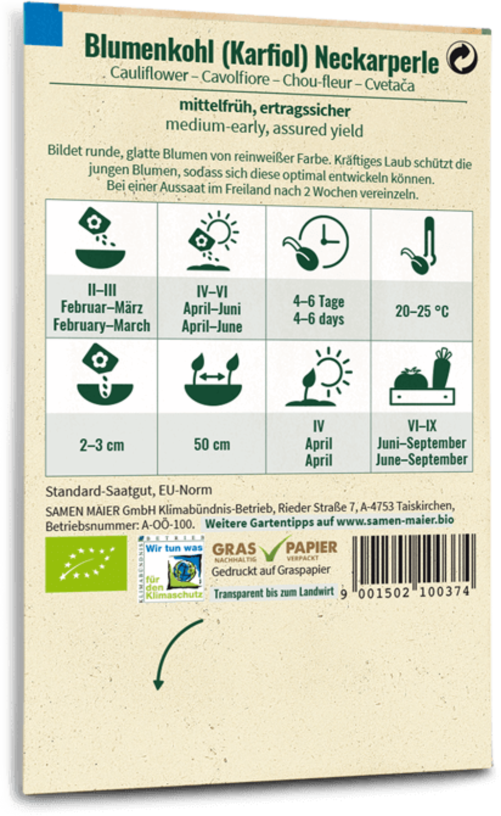 Bio Karfiol "Neckarperle" 3 Bio Karfiol "Neckarperle"