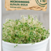 Bio Keimsprossen/Microgreens - Alfalfa Giulia -Garten Flaire Verkaufsgeschäft samen maier bio keimsprossen microgreens alfalfa giulia 1672930 de