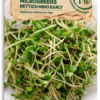 Bio Keimsprossen/Microgreens - Rettich "Mino Early" -Garten Flaire Verkaufsgeschäft samen maier bio keimsprossen microgreens rettich mino early 1672928 de