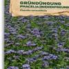 Bio Phacelia "Bienenfreund" -Garten Flaire Verkaufsgeschäft samen maier bio phacelia bienenfreund 1 paket 1663366 de