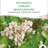 Bio Gründüngung "Buchweizen" -Garten Flaire Verkaufsgeschäft sativa bio gruenduengung buchweizen 1683866 de