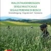 Bio Gründüngung "Waldstauden Roggen" -Garten Flaire Verkaufsgeschäft sativa bio gruenduengung waldstauden roggen 1683160 de